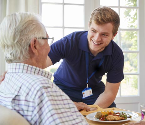 caregivers for the elderly in southeast michigan