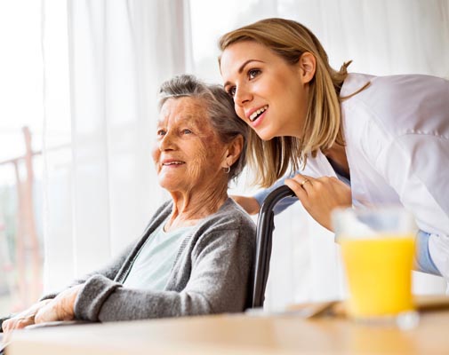 in home care and support for seniors in southeast michigan