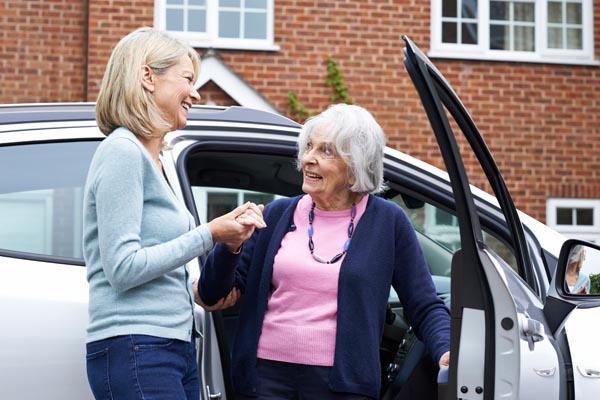 transportation assistance for seniors clinton township MI